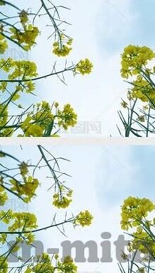 97麻豆视频-拒绝数字陷阱，认清色情信息危害