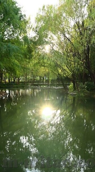大象视频传媒入口-探索大象视频传媒的多元化内容平台