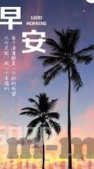 红杏视频麻豆-红杏视频与麻豆，浅析网络文化现象的背后
