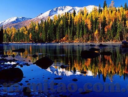老司机伦理-老司机伦理，在驾驶与人生中的智慧平衡