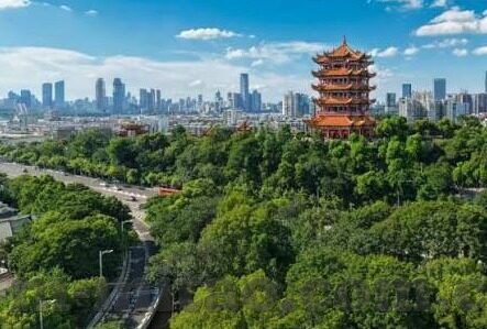 麻豆传媒免费视频-网络迷思与现实边界——解析麻豆传媒免费视频现象