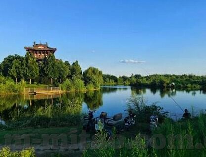 麻豆国产沈芯语在线91精品-麻豆国沈芯语的荧屏绽放，揭开91精品的神秘面纱