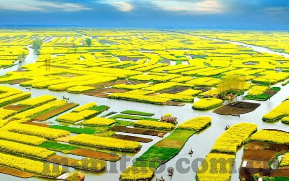 天堂一区二区三区-探索虚拟世界的奇妙之旅，天堂一区、二区、三区的独特魅力