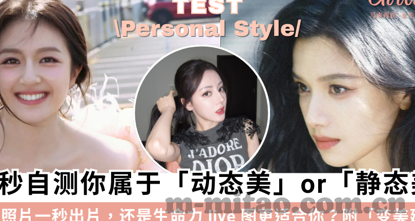 新垣里子先锋中文字幕-探索新垣里子的先锋之路，中文字幕下的文化桥梁