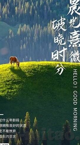 在线观看麻豆视频网站-在线观看麻豆视频网站的多元娱乐趋势与界限思索